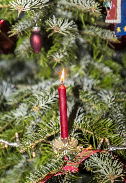 Burning red candle at the christmas tree — Stock Photo, Image