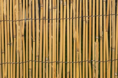 Bambu Mat Arkaplanı