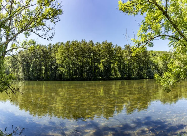 Reflection at river Doubs in France — Stock Photo, Image