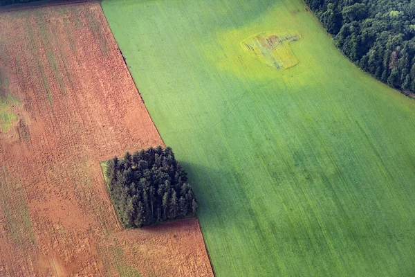 Aérea de prados, árboles y campos — Foto de Stock