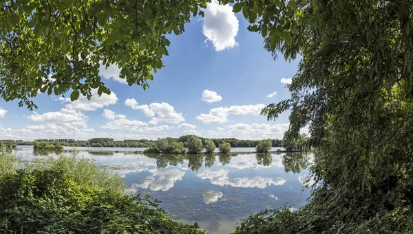 bulutlar yansıması ile Walluf yakınındaki Ren Nehri