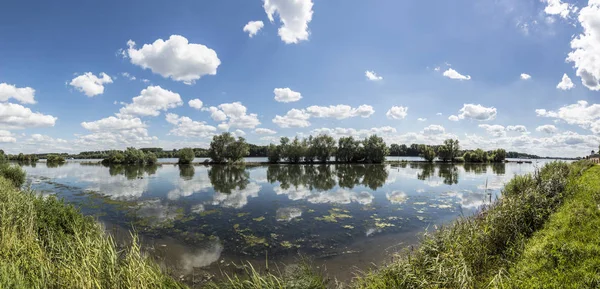 与白云倒影在 Walluf 附近的莱茵河 — 图库照片