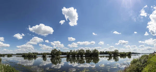 Fiume Reno vicino Walluf con riflesso di nuvole — Foto Stock