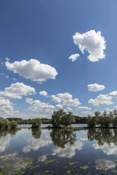 Paisagem rheingau com Reno fluvial — Fotografia de Stock