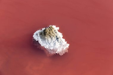 detay kırmızı Tuz Gölü - Camarque, Fransa