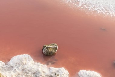 detay kırmızı Tuz Gölü - Camarque, Fransa