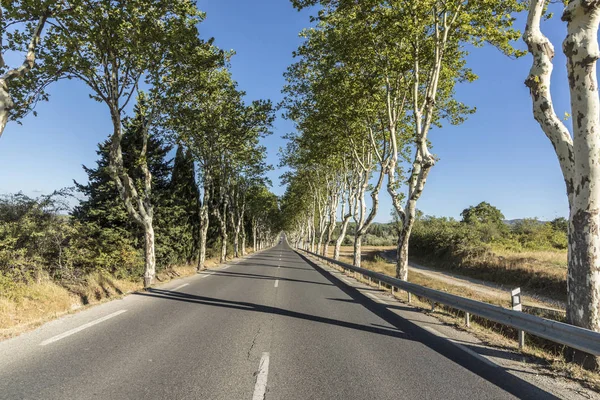 フランスの緑のプラタナスの木と路地 — ストック写真