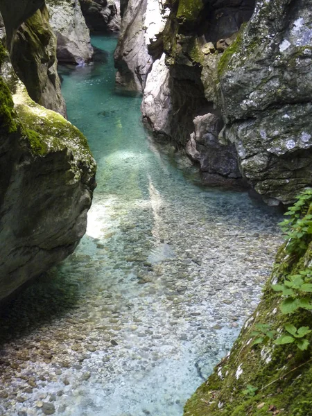 유명한 tolmin 캐년 보기 — 스톡 사진