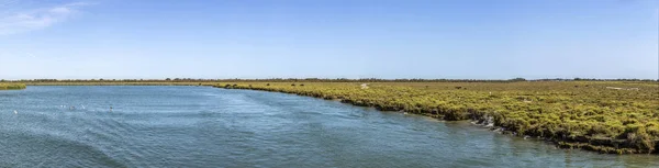 Delta del Rodano nella camargue — Foto Stock