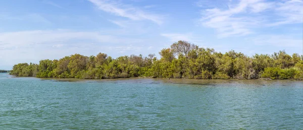  nehir rhone deltasında camargue
