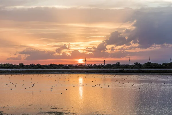 Coucher de soleil en camargue avec l'industrie à l'horizon — Photo