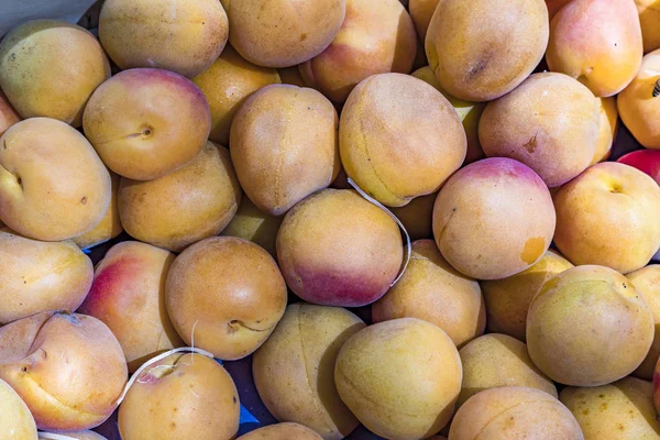 Abricots frais au marché alimentaire — Photo