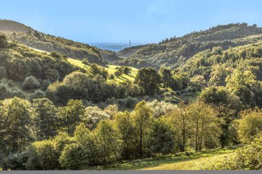 doğal stettbacher Tal Alman orman bölge Odenwald