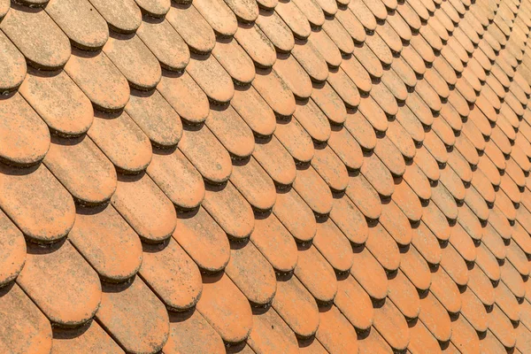 Red plain tiles — Stock Photo, Image