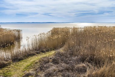 Usedom çimenlerde reed ile Baltık denizde durgun