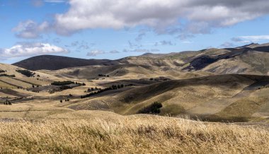  Tarım ve Ekvator alanlar ile manzara