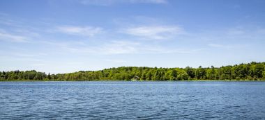 Ilay Gölü ağaçlar büyümek