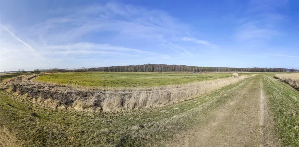 Natursköna träskområde med träd i Usedom — Stockfoto