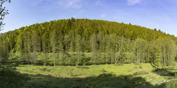 Pequeno riacho hafenlohr flui através da densa floresta selvagem — Fotografia de Stock