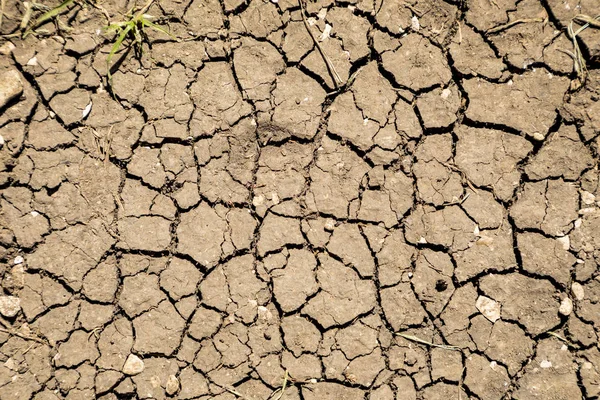 Modello di terriccio essiccato — Foto Stock