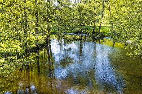 Petit ruisseau hafenlohr coule à travers la forêt sauvage dense — Photo