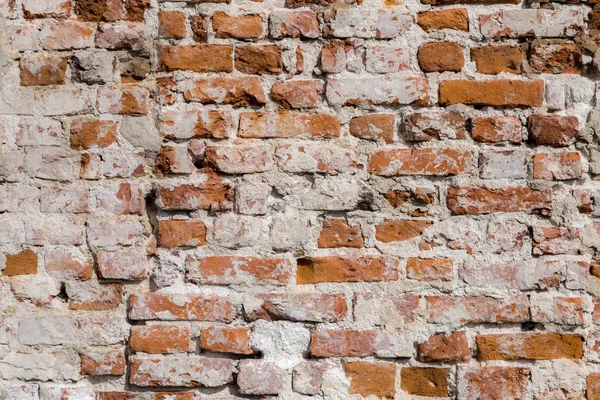 Ziegelmauer außen — Stockfoto