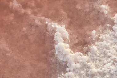 detay kırmızı Tuz Gölü - Camarque, Fransa