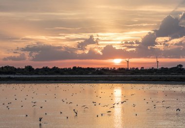 camargue ufuktan sanayi ile gün batımı