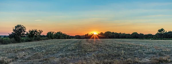 Sunset in the provence with field and typical trees — Stock Photo, Image