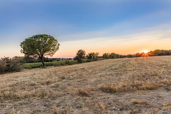 Puesta de sol en la provence con el campo y los árboles típicos — Foto de Stock