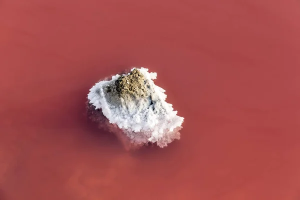 Détail du lac de sel rouge - Camarque, France — Photo