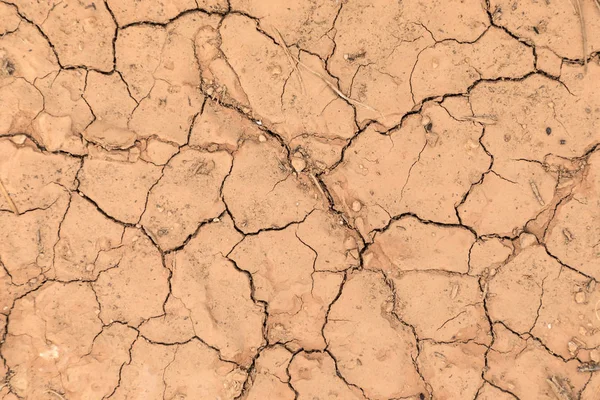 Çizikler ve kurumuş toprak ile şımarık kerpiç — Stok fotoğraf