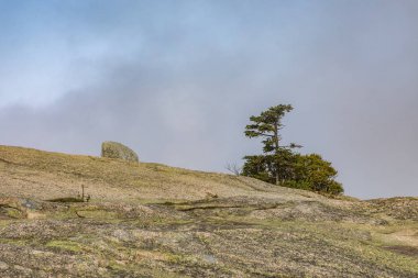 Mount Cadillac acadia Milli Parkı içinde görüntülemek
