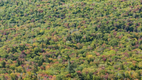 Vista para as montanhas brancas em New Hampshire — Fotografia de Stock