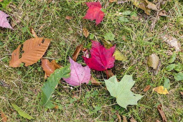 Pohled do bílé hory v New Hampshire — Stock fotografie