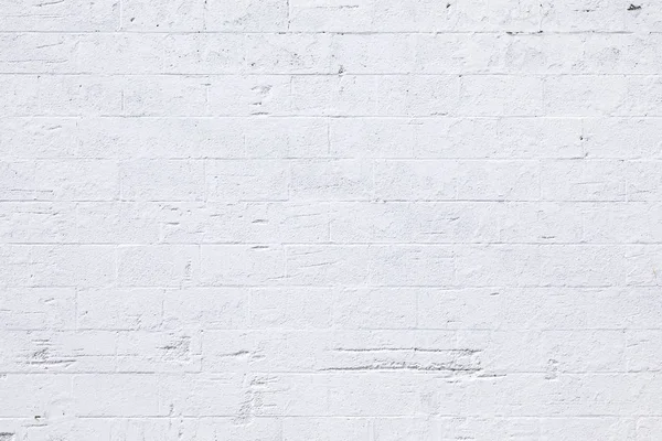 Bílá malovaná cihlová zeď — Stock fotografie