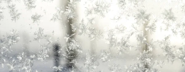 Cristal de glace congelé en détail — Photo