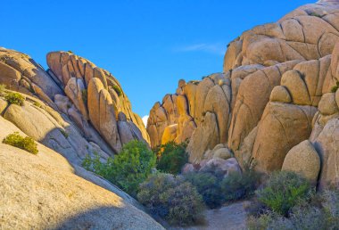 Jumbo rock Joshua Tree National Park