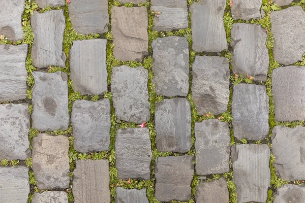 Pozadí valoun kamenné ulice s plevelem — Stock fotografie