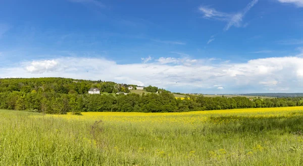 Ländliche Landschaft Mit Feld Frühling Als Natursymbol Eltville — Stockfoto