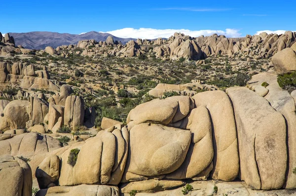 Jumbo rock w Joshua Tree National Park — Zdjęcie stockowe