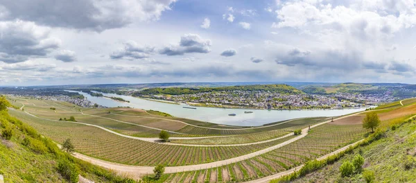 Valle del rin con vistas a Bingen sobre los viñedos —  Fotos de Stock