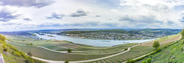 Dolina Renu od wzgórz ruedesheim — Zdjęcie stockowe