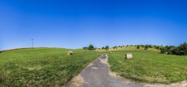 çayırlar ve ağaçları ile kırsal alan 