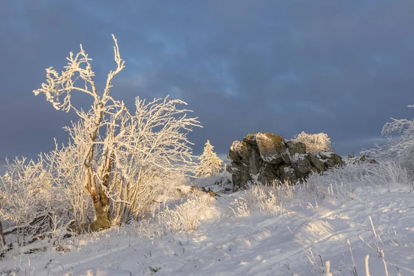Vinterlandskap med brunhildis rock på Feldberg — Stockfoto