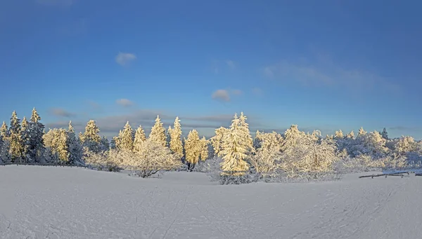 Paesaggio invernale panoramico a Feldberg — Foto Stock