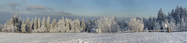 Paisagem panorâmica de inverno em Feldberg — Fotografia de Stock