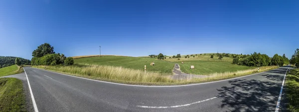 Rural area with meadows and trees — Stock Photo, Image