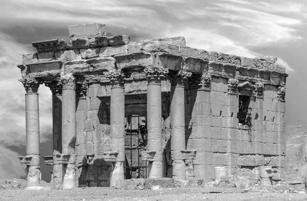 Starověké město Palmýra — Stock fotografie