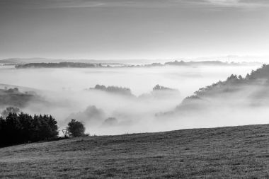 eifel sabah sisli kırsal manzara